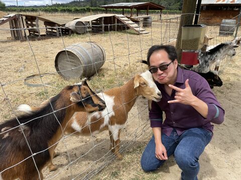 Visiting goats at a winery for one of our anniversary lunches