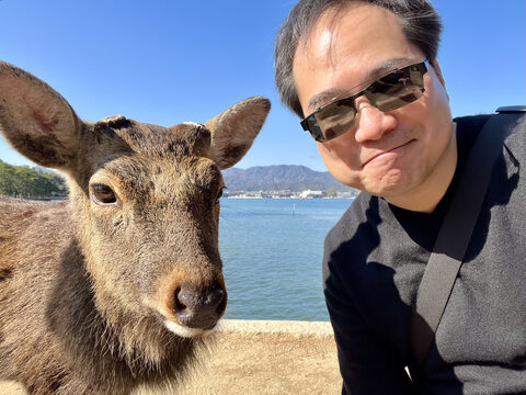 Making friends with the local fauna on Miyajima island