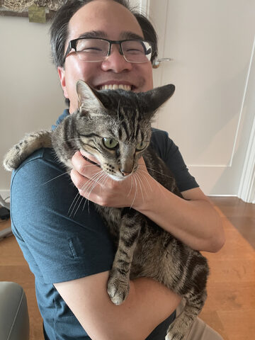 Toto, Tingting & Taylor's beautiful and friendly Standard Issue Cat