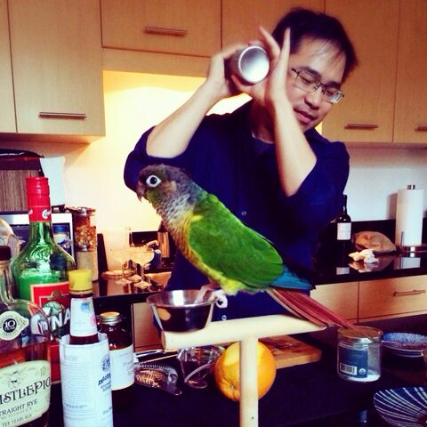 Making a drink for friends with Pico the Bird as assistant (photo credit Lydia)