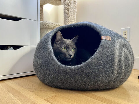 Maki in a felt cat ball we originally got for Momo