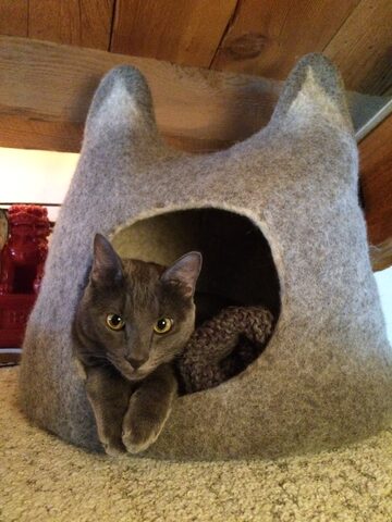 Maki in the cat-head shaped felt cat cave in the loft of our Dogpatch condo