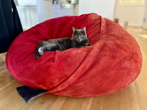 Maki takes a turn on the Lovesac beanbag chair