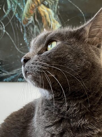 Maki looking contemplative