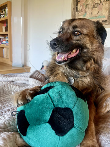 Hana's favorite soccer ball toy