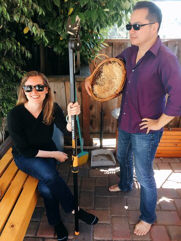 Picking lemons in Mark and Lydia's back yard (photo credit Lydia)